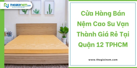 Cửa hàng bán nệm cao su Vạn Thành giá rẻ tại quận 12 TPHCM