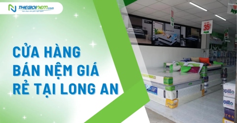 Cửa hàng bán nệm giá rẻ tại Long An