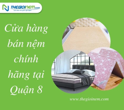 Cửa hàng bán nệm chính hãng tại Quận 8 - Thegioinem.com