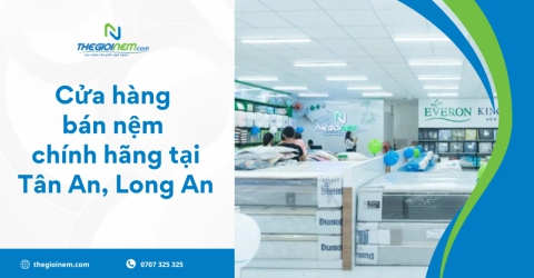 Cửa hàng bán nệm chính hãng tại Tân An, Long An