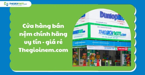 Cửa Hàng Bán Nệm Chính Hãng Uy Tín - Giá Rẻ - Thegioinem.com