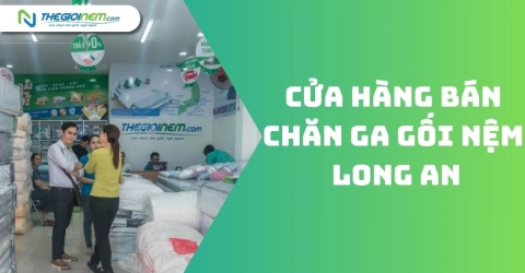 Cửa Hàng Bán Nệm Tại Long An