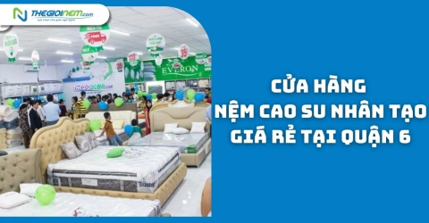 Cửa hàng nệm cao su nhân tạo giá rẻ tại quận 6 | Thegioinem.com