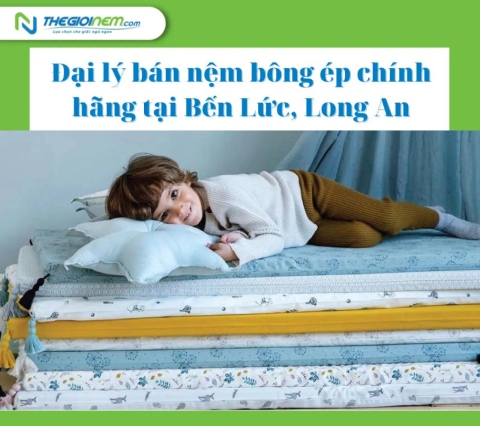 Đại lý bán nệm bông ép chính hãng tại Bến Lức, Long An