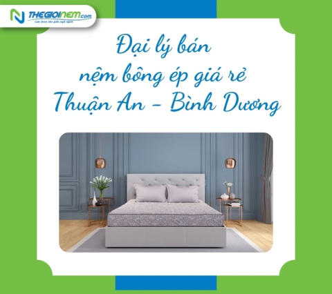 Đại lý bán nệm bông ép giá rẻ Thuận An - Bình Dương