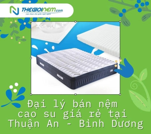 Đại lý bán nệm cao su giá rẻ tại Thuận An - Bình Dương