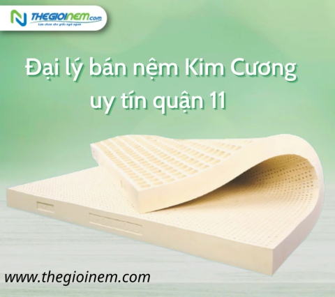 Đại lý bán nệm Kim Cương uy tín quận 11 | Thegioinem.com