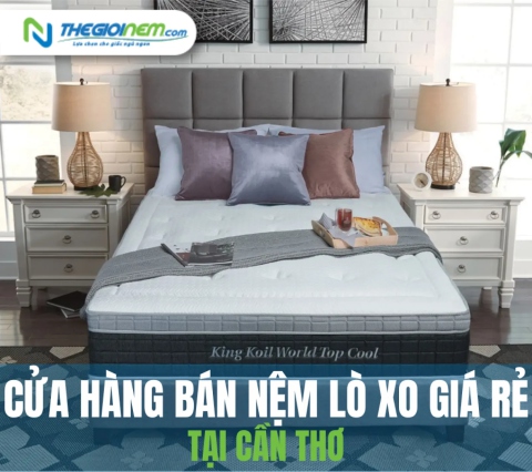 Đại lý bán nệm lò xo giá rẻ Cần Thơ | Thegioinem.com