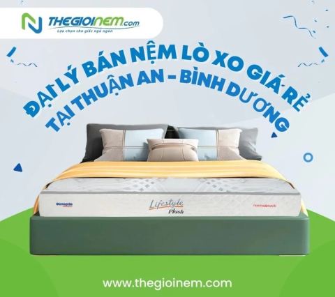 Đại lý bán nệm lò xo giá rẻ tại Thuận An - Bình Dương