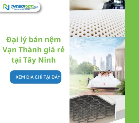 Đại lý bán nệm Vạn Thành giá rẻ tại Tây Ninh