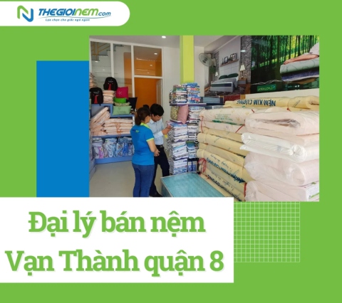 Đại lý bán nệm Vạn Thành quận 8 