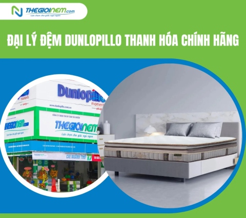 Đại lý đệm Dunlopillo Thanh Hóa chính hãng