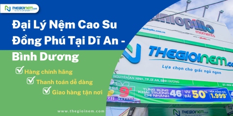 Đại lý nệm cao su Đồng Phú tại Dĩ An - Bình Dương