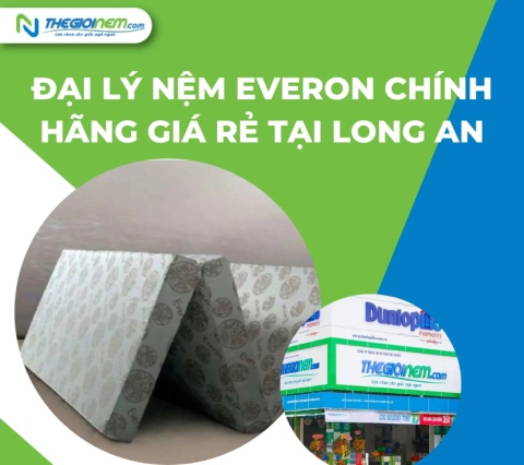 Đại Lý Nệm Everon Chính Hãng Giá Rẻ Tại Long An