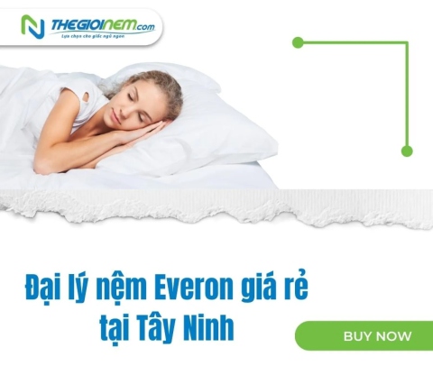 Đại lý nệm Everon giá rẻ tại Tây Ninh