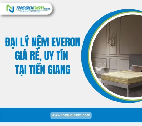 Đại Lý Nệm Everon Giá Rẻ, Uy Tín Tại Tiền Giang