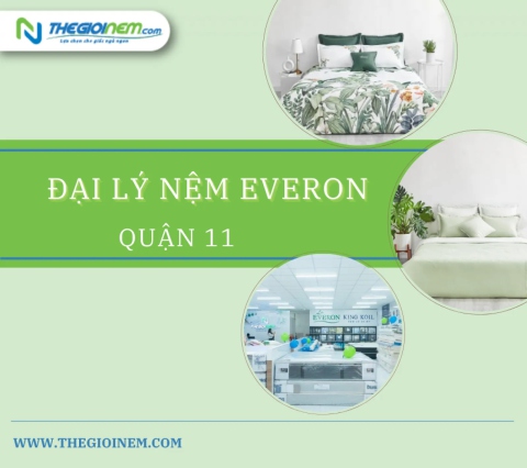 Đại lý nệm Everon khuyến mãi quận 11 | Thegioinem.com