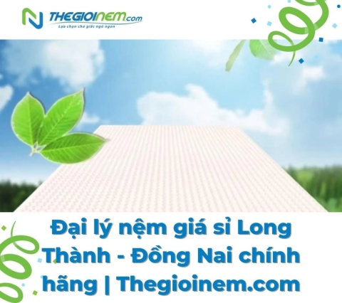 Đại lý nệm giá sỉ Long Thành - Đồng Nai chính hãng | Thegioinem.com