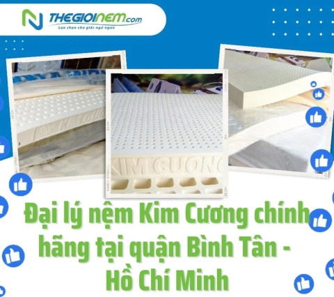 Đại lý nệm Kim Cương chính hãng tại quận Bình Tân - Hồ Chí Minh|Thegioinem.com 