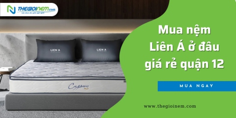 Đại Lý Nệm Liên Á Chính Hãng Tại Quận 12