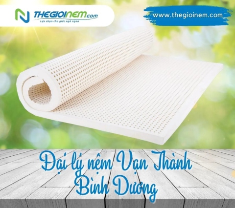 Đại lý nệm Vạn Thành Bình Dương | Thegioinem.com