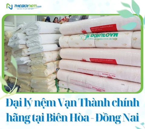 Đại lý nệm Vạn Thành chính hãng tại Biên Hòa - Đồng Nai