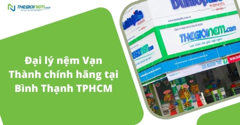 Đại Lý Nệm Vạn Thành Chính Hãng Tại Bình Thạnh TPHCM | Thegioinem.com