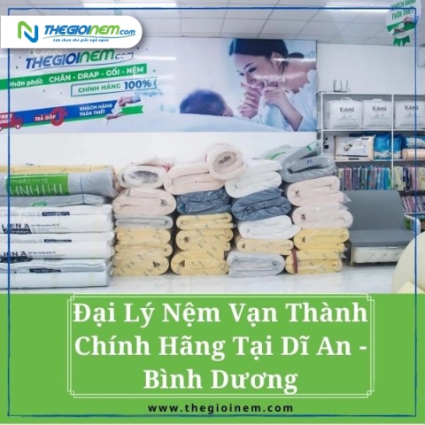 Đại Lý Nệm Vạn Thành Chính Hãng Tại Dĩ An - Bình Dương