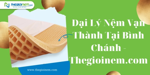 Đại Lý Nệm Vạn Thành Tại Bình Chánh - Thegioinem.com