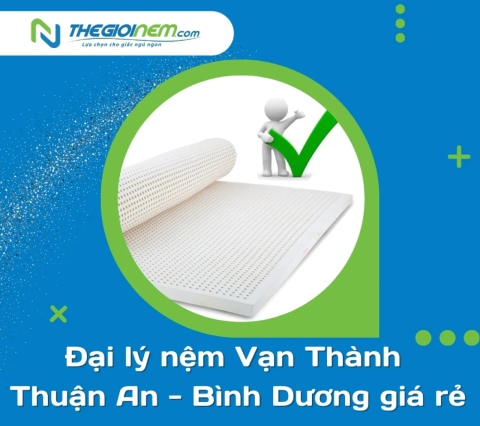 Đại lý nệm Vạn Thành Thuận An - Bình Dương giá rẻ | Thegioinem.com