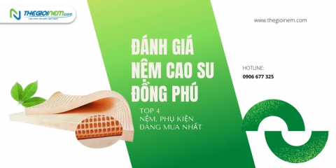 Đánh Giá Nệm Cao Su Đồng Phú - Top 4 Nệm, Phụ Kiện Đáng Mua Nhất