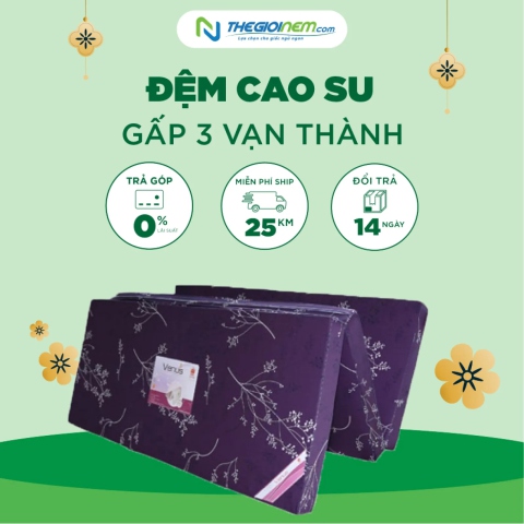 Đệm Cao Su Gấp 3 Vạn Thành Giảm 15% + COMBO Quà Tại Thegioinem.com