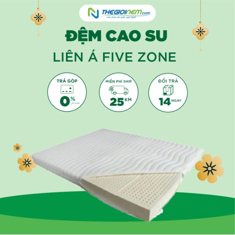 Đệm Cao Su Liên Á Five Zone Giảm Giá 15% + Quà Tặng |Thegioinem.com