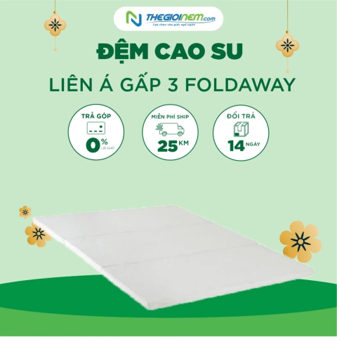 Đệm Cao Su Liên Á Gấp 3 FOLDAWAY Giảm 10% Tại Thegioinem.com