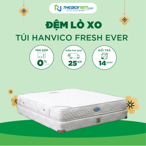 Đệm Lò Xo Túi Hanvico Fresh Ever Giảm 15% Tại Thegioinem.com