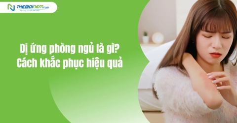 Dị ứng phòng ngủ là gì? Cách khắc phục hiệu quả