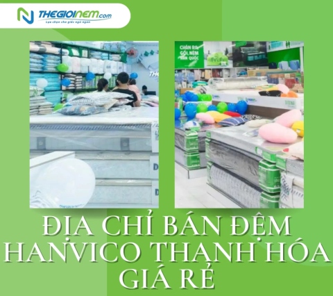 Địa chỉ bán đệm Hanvico Thanh Hóa giá rẻ