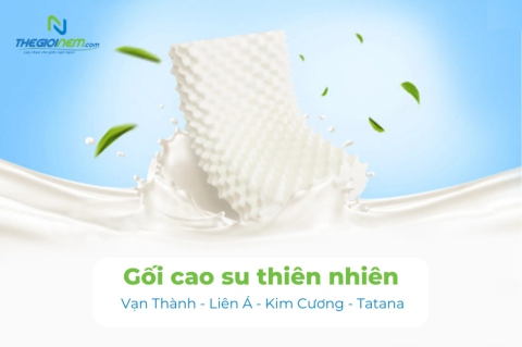 Địa chỉ cửa hàng bán gối cao su giá rẻ TPHCM - Thế Giới Nệm 