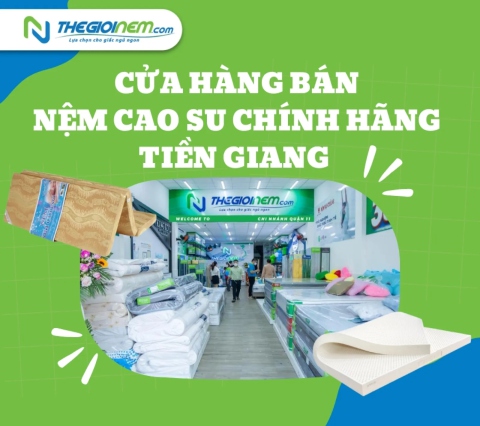 Cửa hàng bán nệm cao su chính hãng Tiền Giang - Thế Giới Nệm