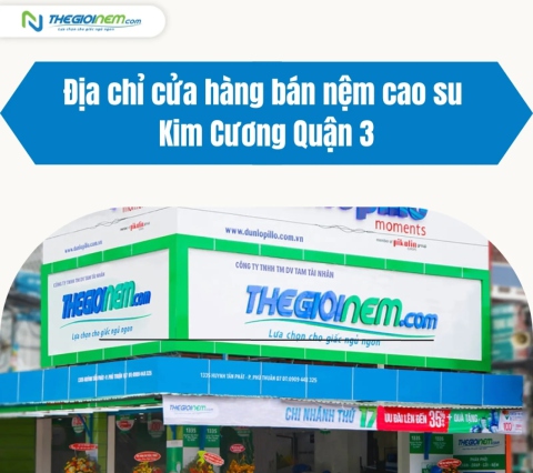 Địa chỉ cửa hàng bán nệm cao su Kim Cương Quận 3