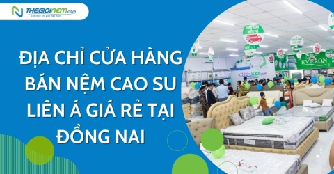 Địa chỉ cửa hàng bán nệm cao su Liên Á giá rẻ tại Đồng Nai