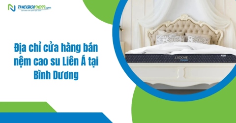 Địa Chỉ Cửa Hàng Bán Nệm Cao Su Liên Á Tại Bình Dương - Thegioinem.com