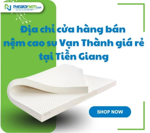 Địa chỉ cửa hàng bán nệm cao su Vạn Thành giá rẻ tại Tiền Giang