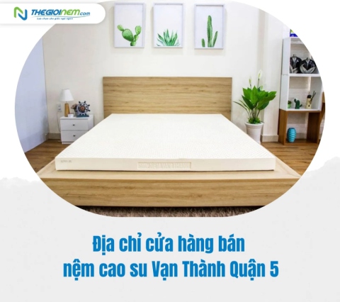 Địa chỉ cửa hàng bán nệm cao su Vạn Thành Quận 5