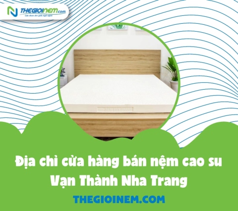 Địa chỉ cửa hàng bán nệm cao su Vạn Thành Nha Trang | Thegioinem.com