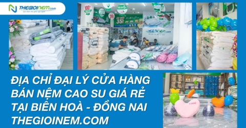 Địa chỉ đại lý cửa hàng bán nệm cao su giá rẻ tại Biên Hoà - Đồng Nai - Thegioinem.com