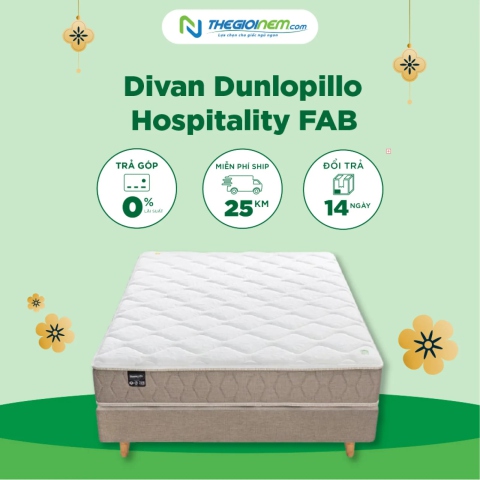 Divan Dunlopillo Hospitality FAB Khuyến Mãi 20% tại Thegioinem.com