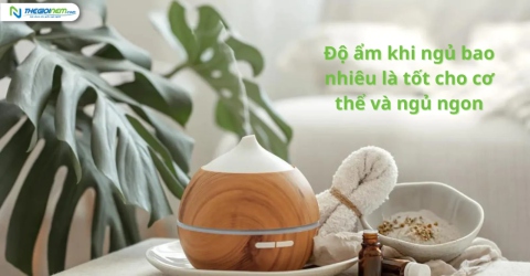 Độ ẩm khi ngủ bao nhiêu là tốt cho cơ thể và ngủ ngon