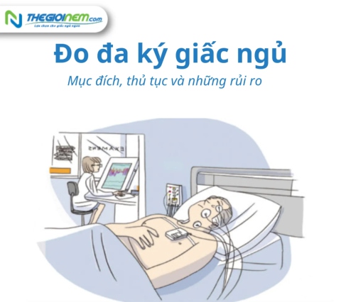 Đo đa ký giấc ngủ (Polysomnography) là gì? Mục đích, thủ tục và những rủi ro