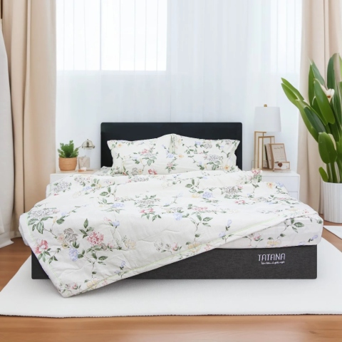 Ga Cotton Đũi TATANA CĐ03 Khuyến Mãi 25% Tại Thế Giới Nệm